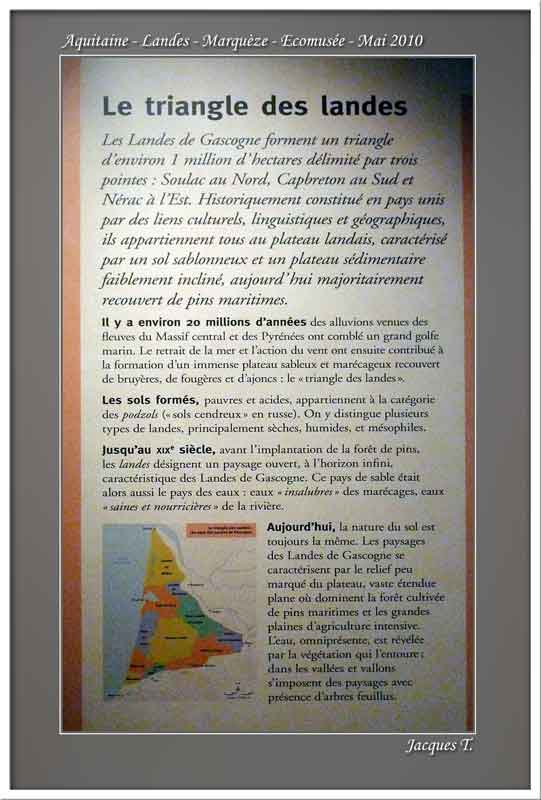 carnets voyages Aquitaine Landes Marquèze écomusée (1)